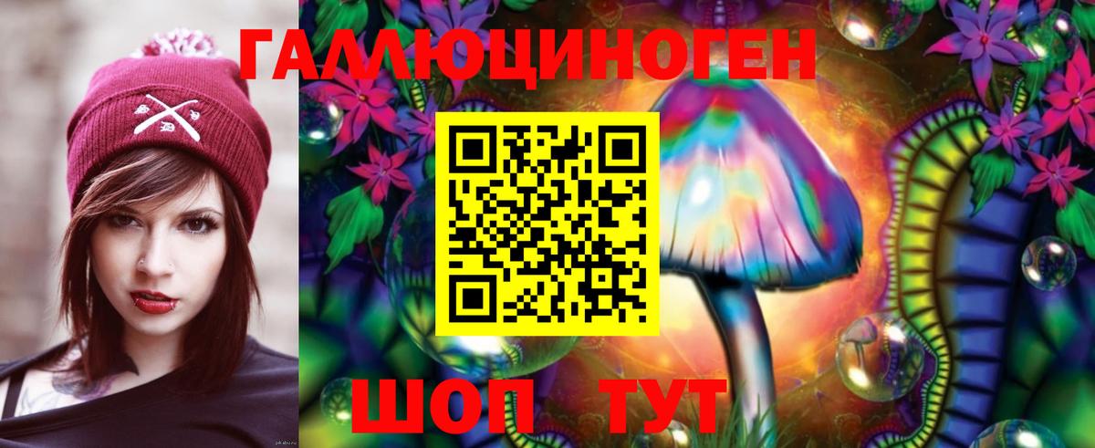 Улан-Удэ  Псилоцибиновые грибы Psilocybe  Вход с VPN  Псилоцибиновые грибы Cubensis 